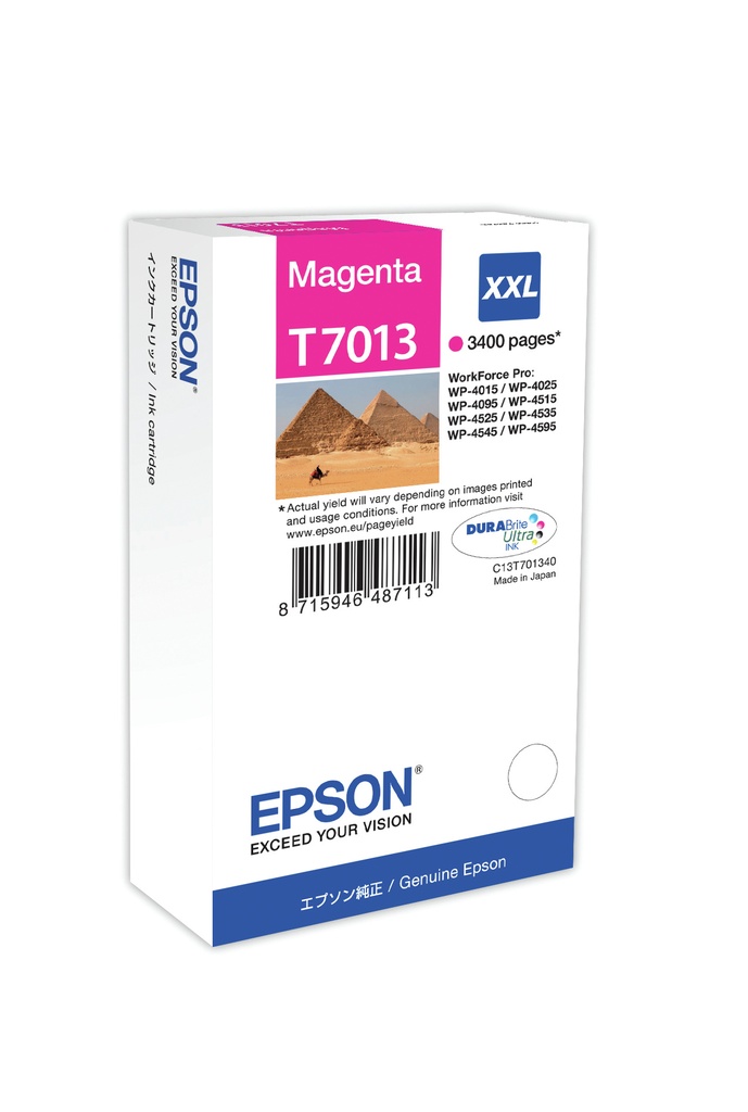 ORIGINAL Epson Cartuccia d'inchiostro magenta C13T70134010 T7013 XXL ~3400 Seiten XXL