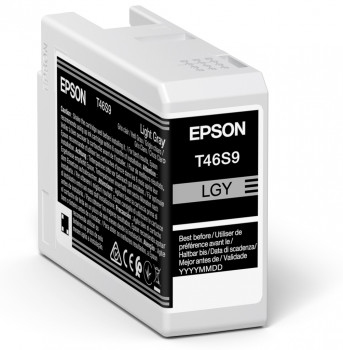 ORIGINAL Epson Cartuccia d'inchiostro grigio (chiaro) C13T46S900 T46S9 25ml