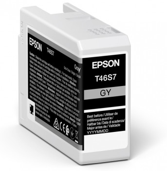 ORIGINAL Epson Cartuccia d'inchiostro Grigio C13T46S700 T46S7 25ml
