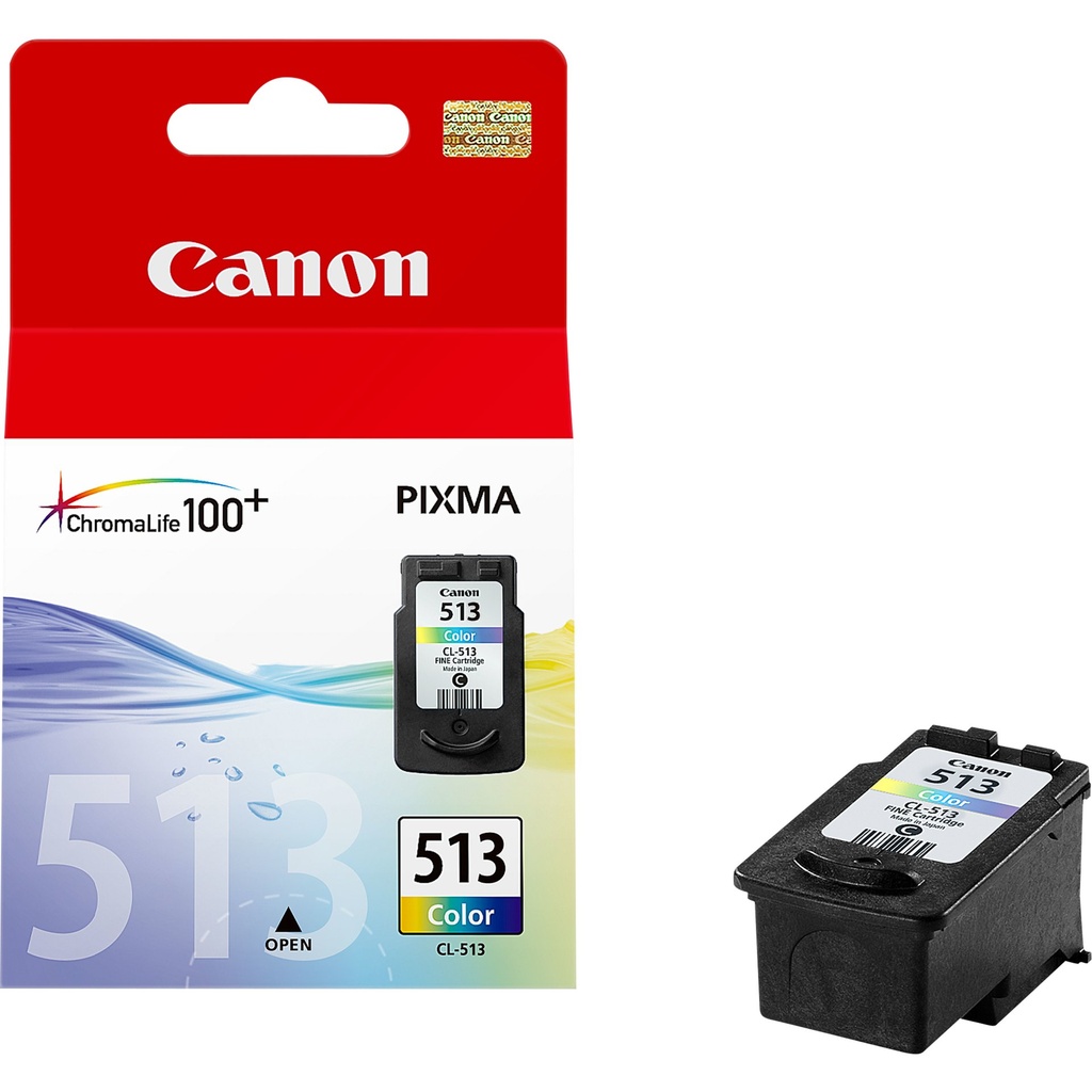ORIGINAL Canon Cartuccia d'inchiostro differenti colori CL-513 2971B001 ~349 Seiten 13ml