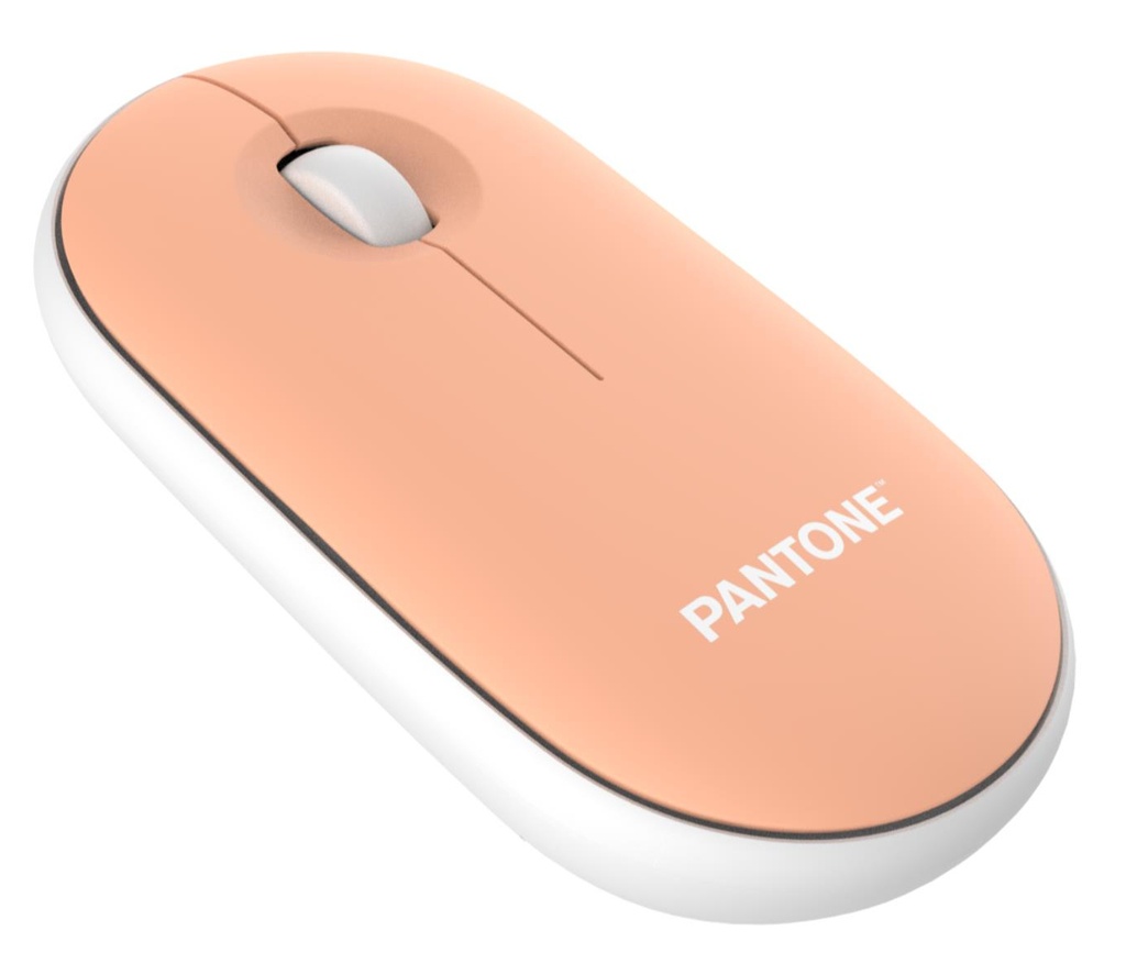 [PT-MS001E] Pantone PT-MS001E mouse Casa RF Wireless Laser 100 DPI