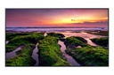 Samsung QB75B Pannello piatto per segnaletica digitale 190,5 cm (75") Wi-Fi 350 cd/m² 4K Ultra HD Nero Processore integrato Tizen 6.5 16/7