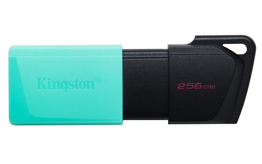 [DTXM/256GB] Kingston Technology DataTraveler 256GB USB3.2 Gen1 Exodia M (Nero + Verde ottanio)