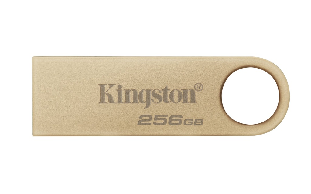 [DTSE9G3/256GB] Kingston Technology DataTraveler 256GB 220MB/s Drive USB 3.2 Gen 1 in Metallo SE9 G3