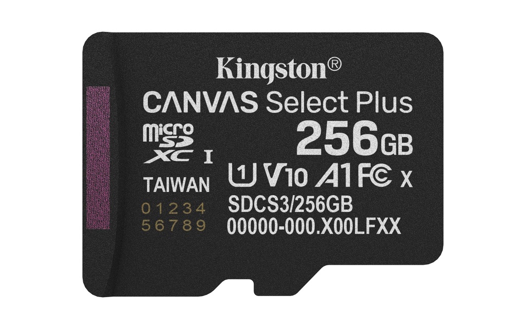 [SDCS3/256GBSP] Kingston Technology 256GB micSDXC Canvas Select Plus Gen3 150R A1 (Adattatore SD non incluso)