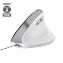 Trust Bayo II mouse Ufficio Mano destra USB tipo A Ottico 2400 DPI