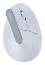 Nilox NXMOEVR01W mouse Universale Mano destra RF senza fili + Bluetooth Ottico 1600 DPI