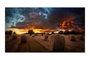 MONITOR SAMSUNG VM55B-U PER VIDEOWALL 55