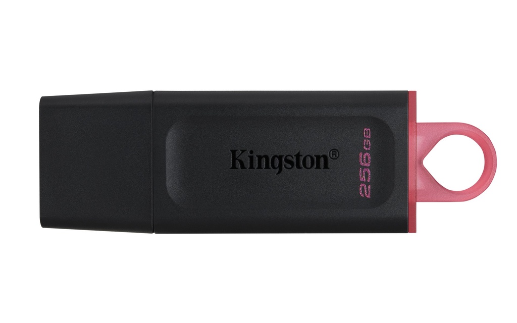 [DTX/256GB] Kingston Technology DataTraveler Drive Flash USB 3.2 - USB Exodia