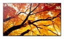 Sharp MultiSync PN-M752 189.2 cm (74.5") LED 550 cd/m² 4K Ultra HD Black 24/7