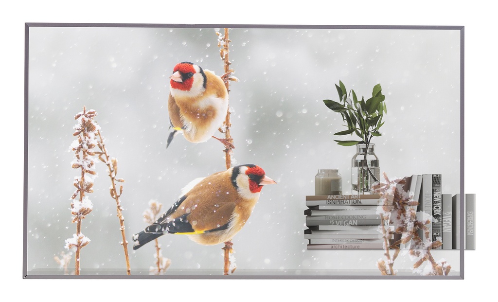 LG 55EW5P-M visualizzatore di messaggi 139,7 cm (55") OLED 600 cd/m² Full HD Argento Touch screen 18/7