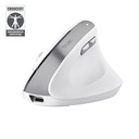 Trust Bayo II mouse Ufficio Mano destra RF Wireless Ottico 2400 DPI