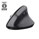 Trust Bayo+ mouse Ufficio Mano destra RF senza fili + Bluetooth Ottico 2400 DPI