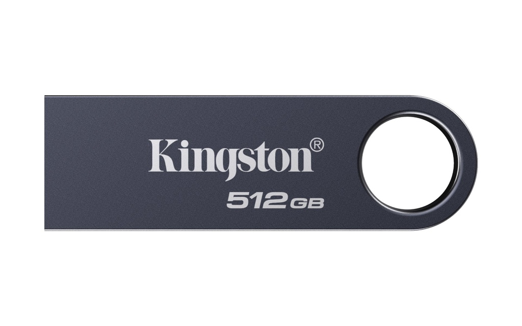 Pendrive USB Kingston Technology DataTraveler 512GB SE9 G3 Nichel scuro