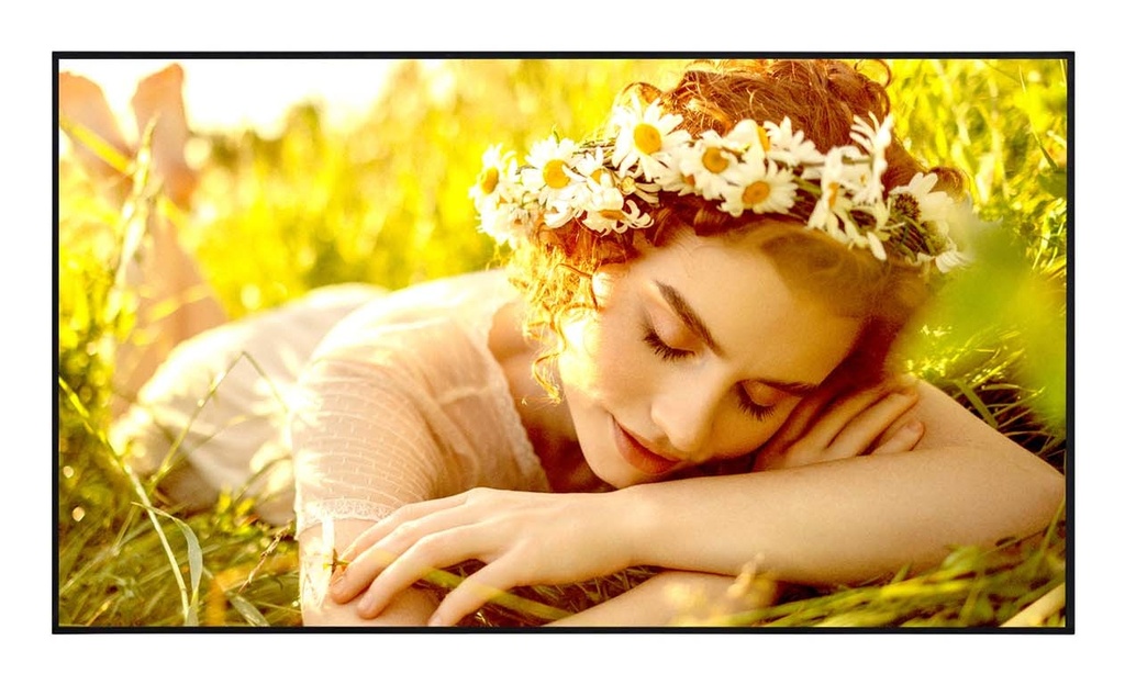 [50UL5Q-E.AEUQ] LG 50UL5Q-E visualizzatore di messaggi Pannello piatto per segnaletica digitale 127 cm (50") LED Wi-Fi 500 cd/m² 4K Ultra HD Nero WebOS 24/7