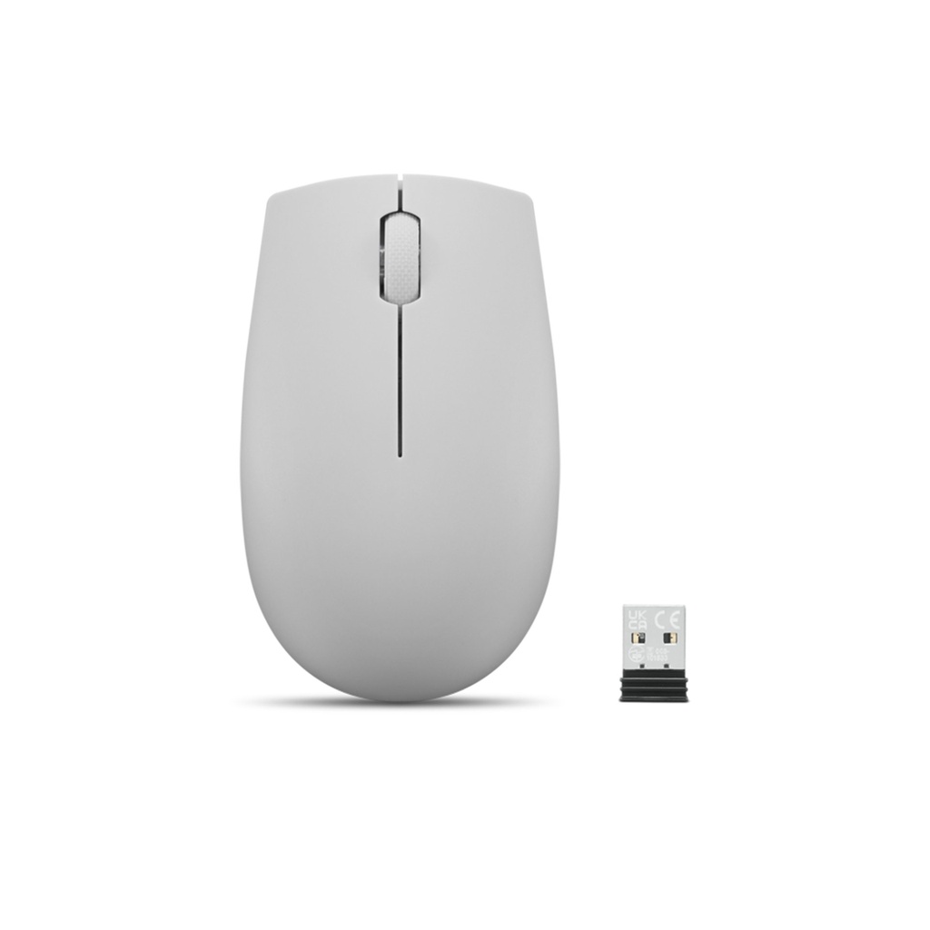 [GY51L15678] Lenovo Mouse wireless 300 compatto (Grigio Artico)
