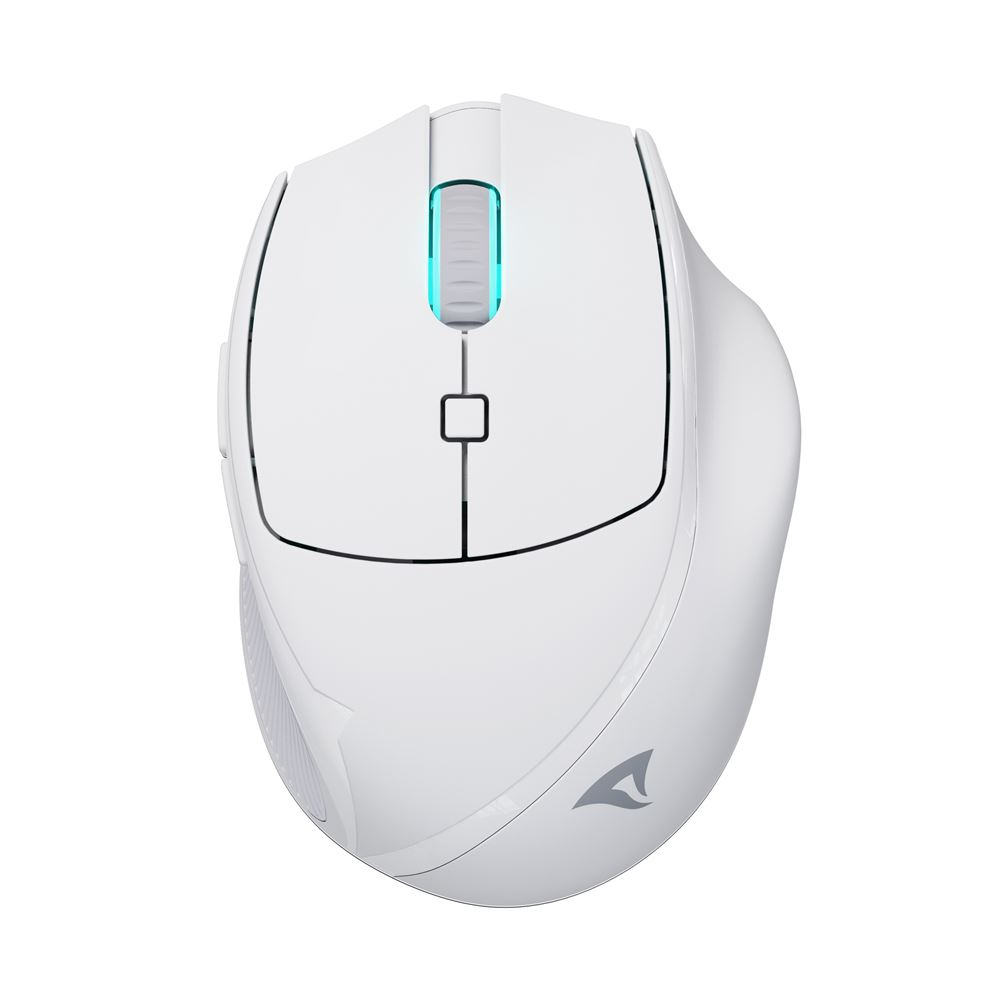 [4044951039654] Mouse Sharkoon OfficePal M25W mouse Gaming Mano destra RF Wireless + USB Type-C Ottico 4000 DPI