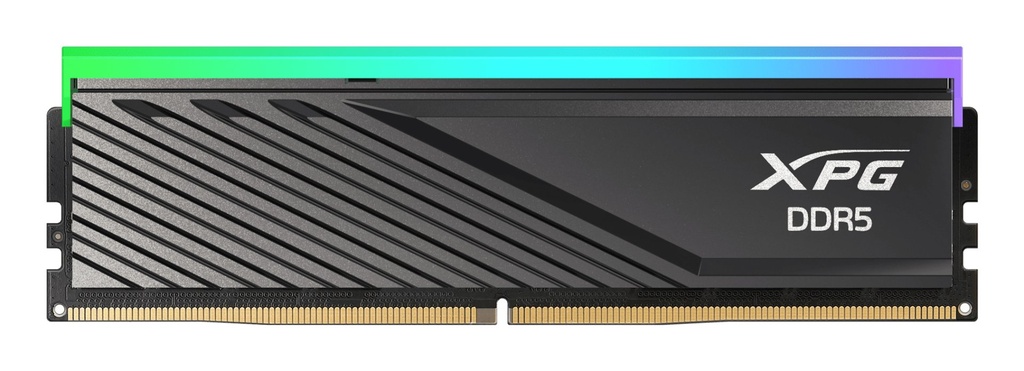 XPG AX5U6000C3616G-SLABRBK memoria 16 GB 1 x 16 GB DDR5 6000 MT/s 288-pin DIMM Data Integrity Check (verifica integrità dati)