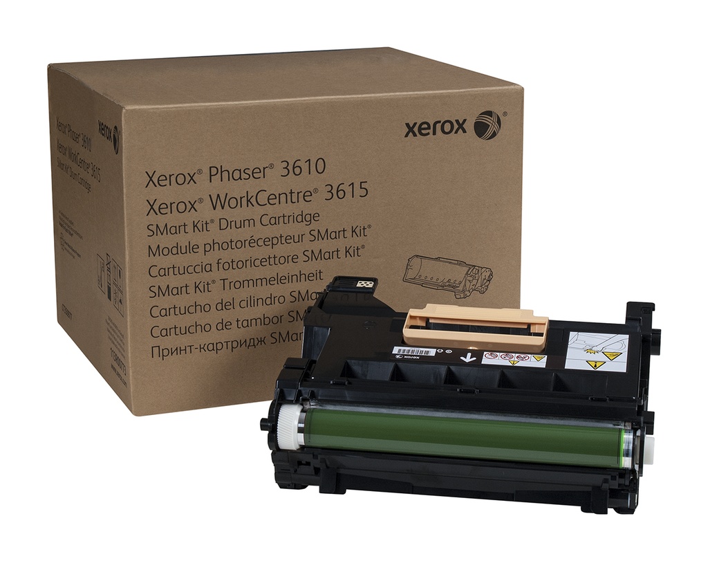 Unità di manutenzione Xerox 113R00773