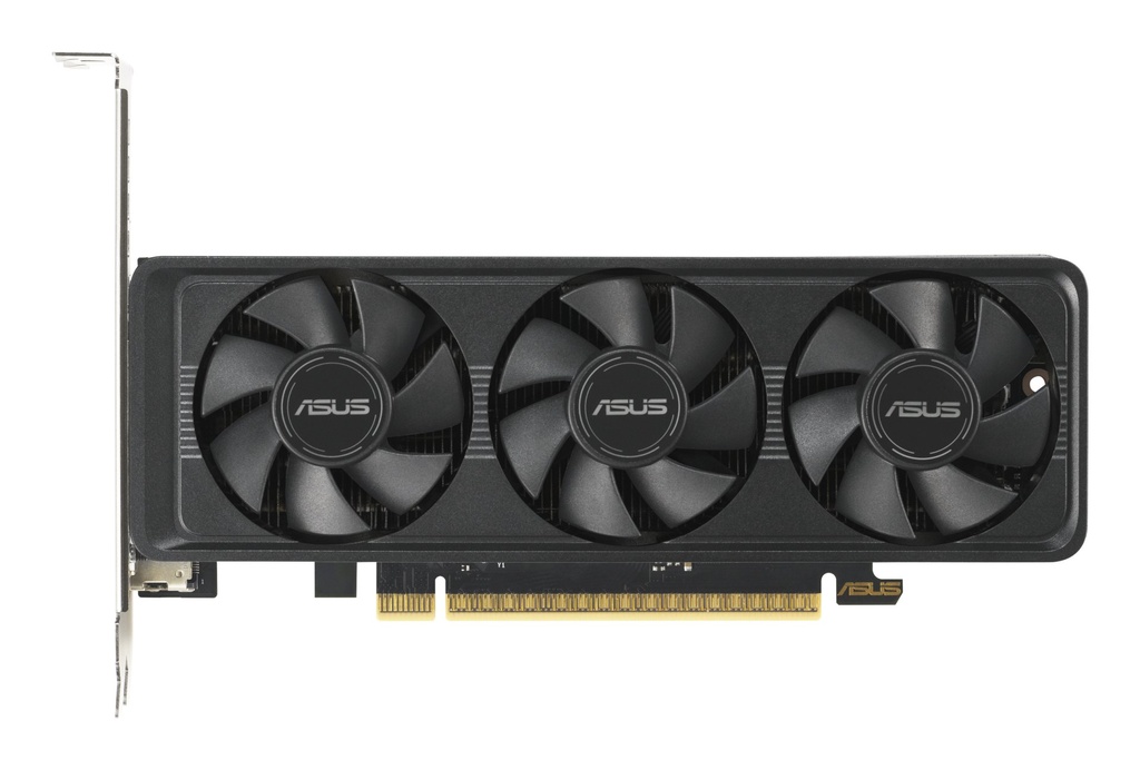 Scheda Video ASUS Nvidia GeForce RTX 5060 LP BRK OC 8GB Nero