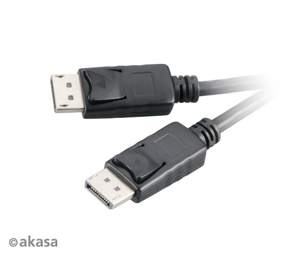 Akasa AK-CBDP01-20BK cavo DisplayPort 2 m Nero