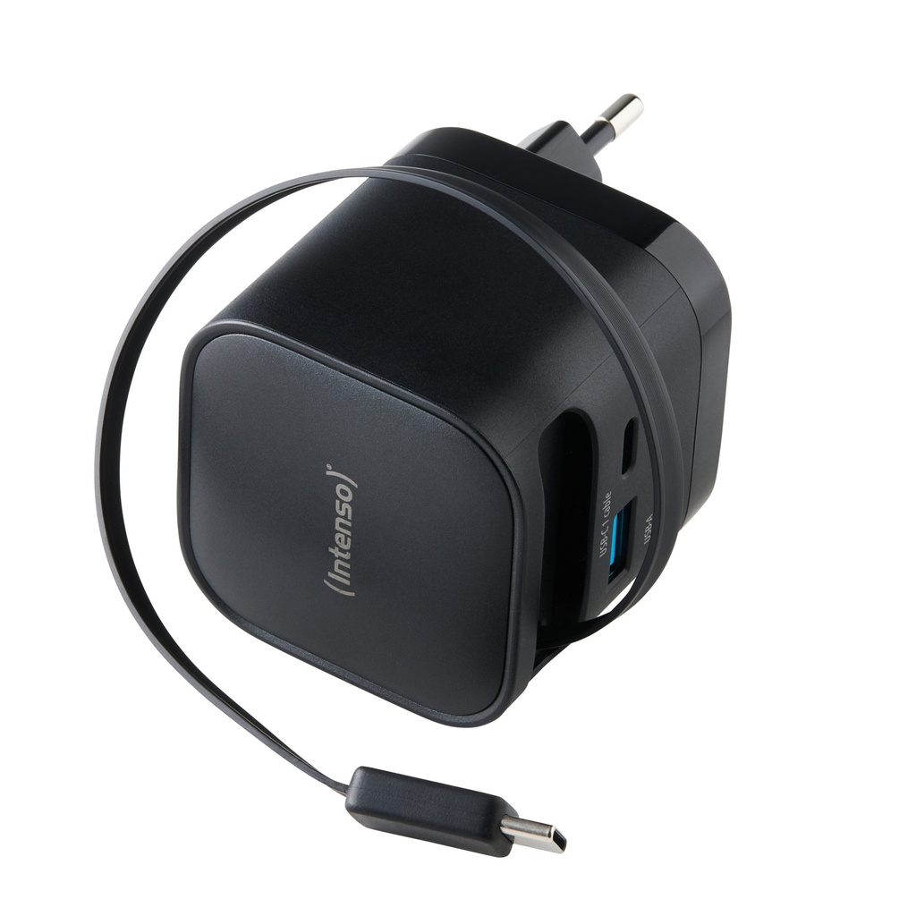 Intenso 7806520 adattatore e invertitore Interno 65 W Nero