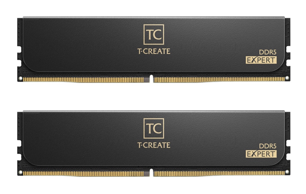 [CTCED5128G6400HC42CDC01] Team Group CTCED5128G6400HC42CDC01 memoria 128 GB 2 x 64 GB DDR5 288-pin DIMM