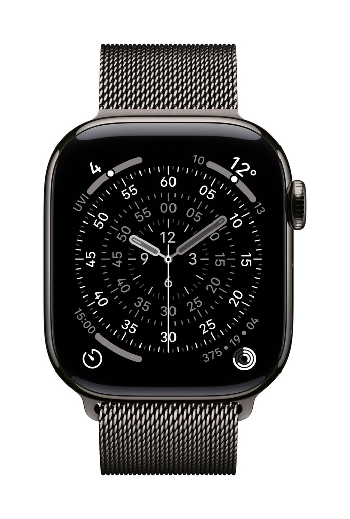 Apple Loop in maglia milanese ardesia (42 mm)
