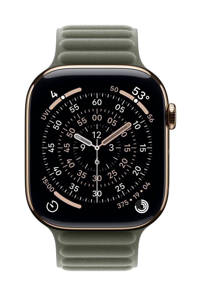 Apple Cinturino a maglie magnetico grigio salvia (46 mm) - S/M