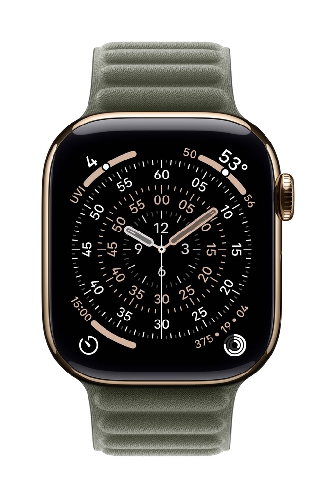 Apple Cinturino a maglie magnetico grigio salvia (42 mm) - S/M