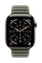 Apple Cinturino a maglie magnetico grigio salvia (42 mm) - S/M