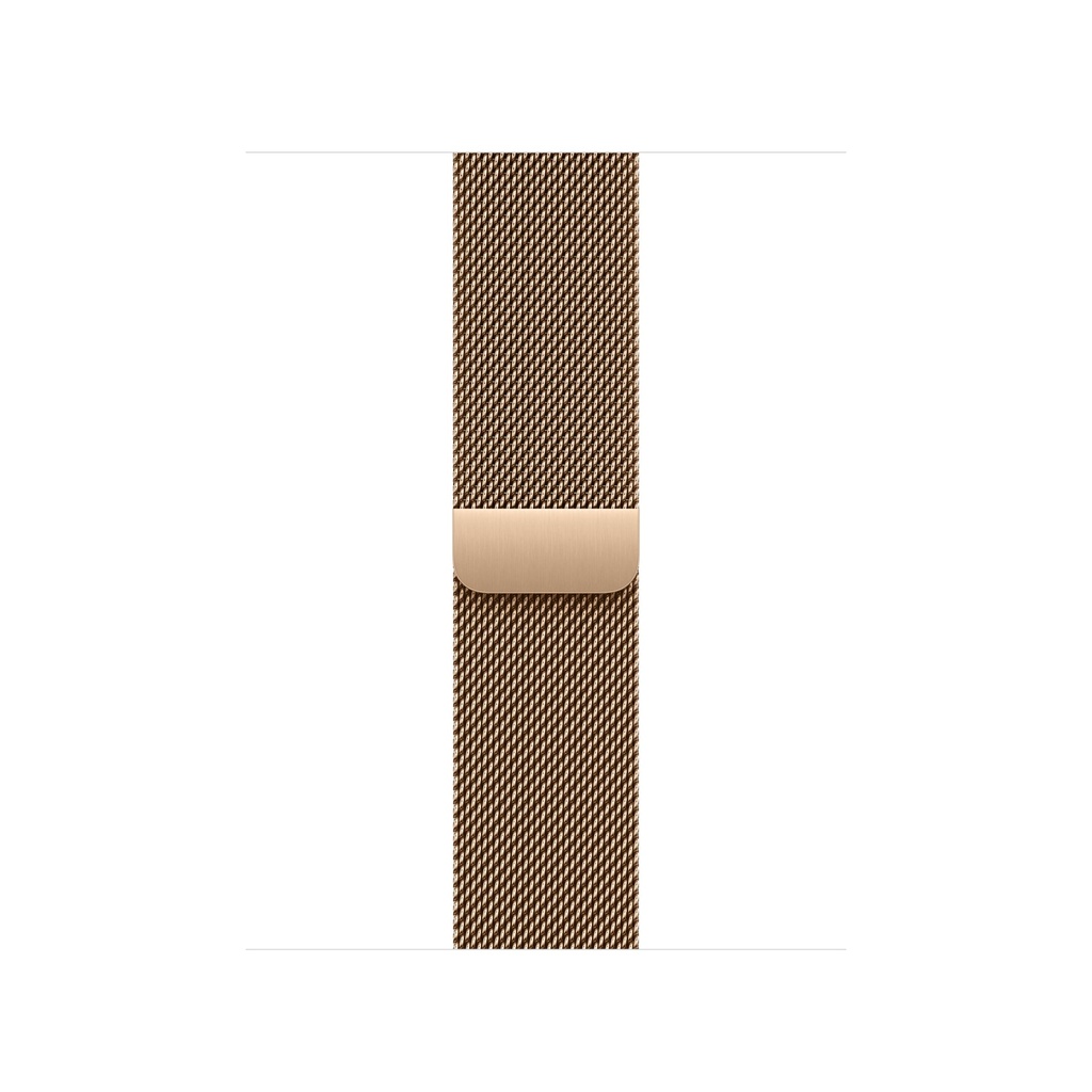 [MAXL4ZM/A] Apple Loop in maglia milanese color oro (40 mm)
